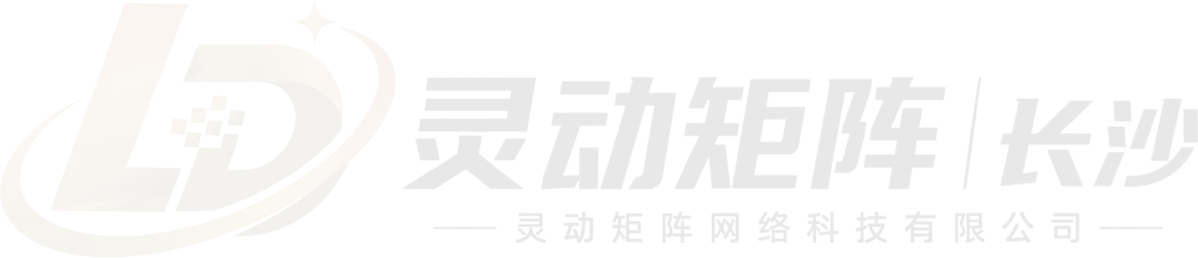长沙灵动矩阵网络科技